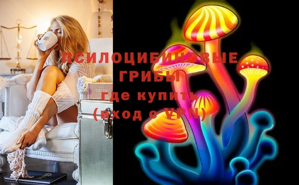 прущие крисы Белокуриха