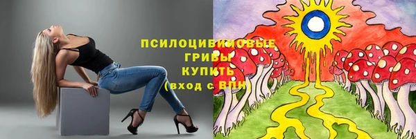 прущие крисы Белокуриха