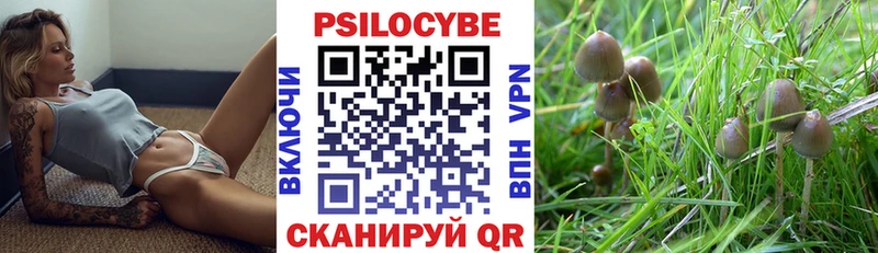 сколько стоит  Покровск  Псилоцибиновые грибы Magic Shrooms 